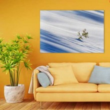 Слънчева зима PL 67