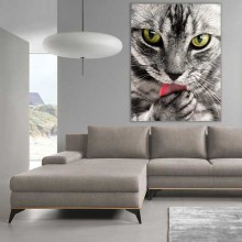 Красива котка PL 15
