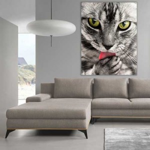 Красива котка PL 15