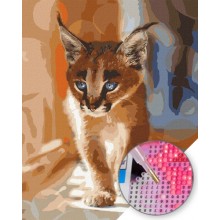 GI 304204 Котенце - Диамантен гоблен