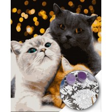 Картина по номера - Котки ZE 3431