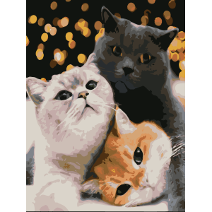 Картина по номера - Котки ZE 3431