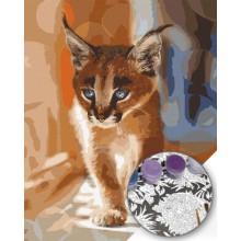 Картина по номера - Котенце ZE 3439