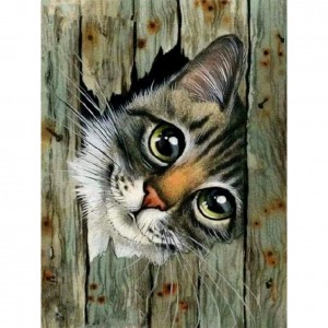 GI 304240 Мило котенце - Диамантен гоблен