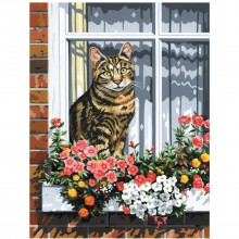 Картина по номера -  Котка на прозореца ZE 3591