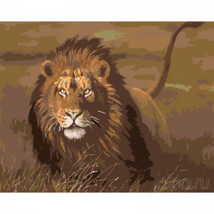 Картина по номера - Лъв ZE 3766
