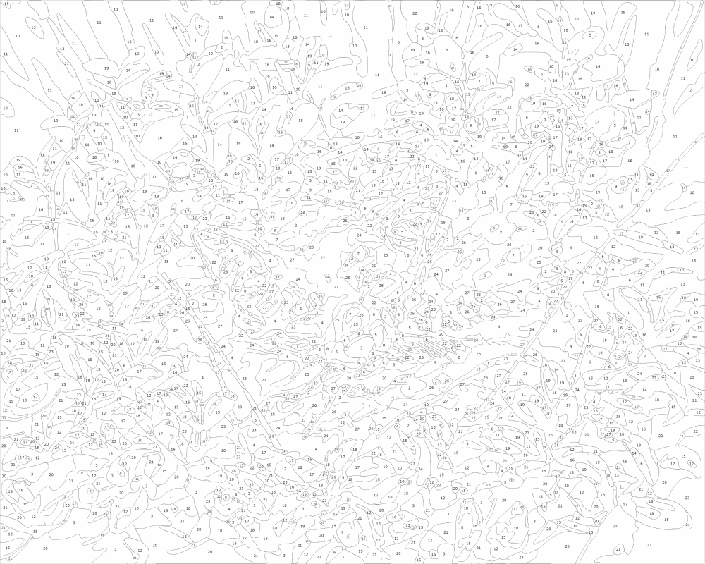 Лисици - Картина по номера ZG 10909