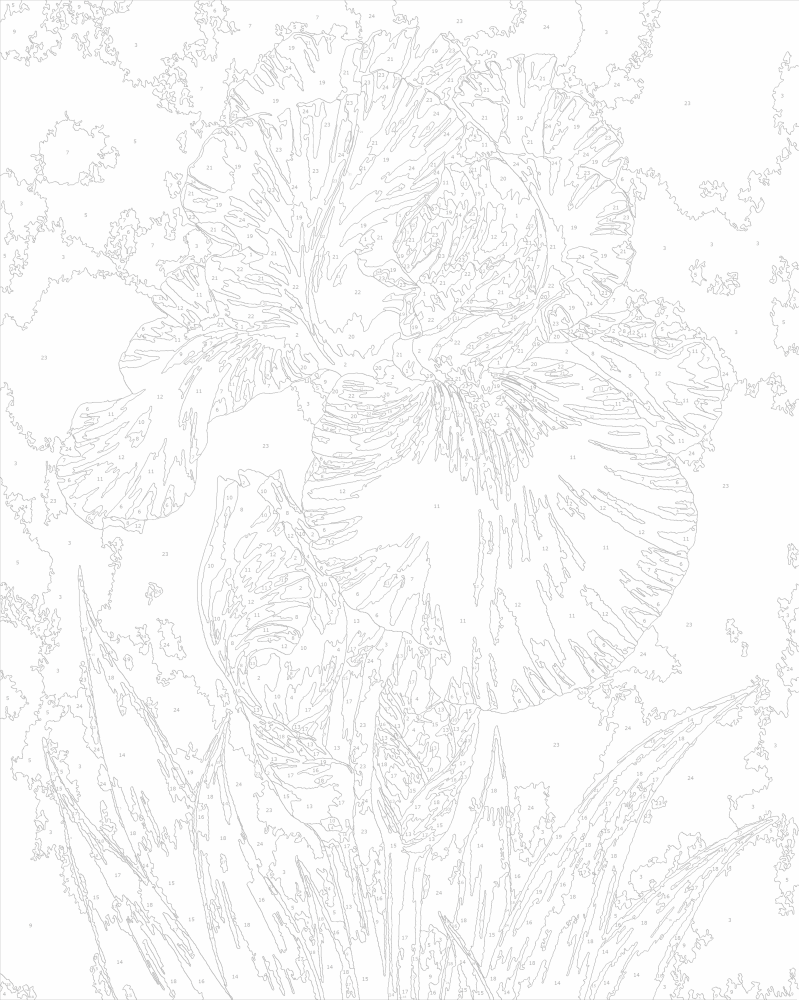 Рисуване по номера - Триптих - Ириси PG 004