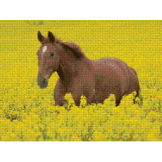 CALUL LIBERTĂȚII - Goblen de diamante 34048 CALUL LIBERTĂȚII - Goblen de diamante 34048