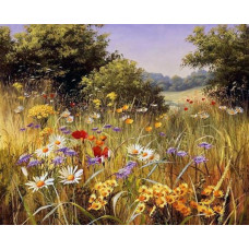 Pictura pe numere - Peisaj cu flori sălbatice ZG 22872 