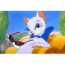 CAT ÎN MAȘINĂ - Goblen de diamante 23020   