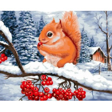 Pictura pe numere - Veveriță și fructe de iarnă ZG 0457
