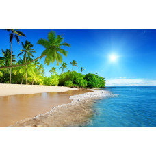 PLAJA TROPICALĂ - Goblen de diamante  PZ 0030
