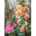 Pictura după numere - Pui de flori ZE 7466 Pictura după numere - Pui de flori ZE 7466
