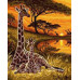  Pictura pe numere - Girafe ZG 32559