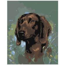 Pictura pe numere - Câine ZG 0064