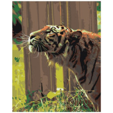 Pictura pe numere - Tigru ZG 0074