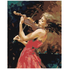 Pictura pe numere - Violonist ZG 0016