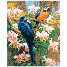 Pictura pe numere - Papagali ZG 0224