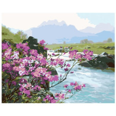 Pictura pe numere - Râu de munte ZG 0122