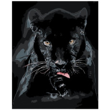 Pictura pe numere - Jaguar ZG 0095
