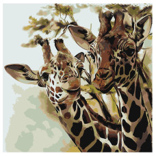 Pictura pe numere - Girafe ZP 024