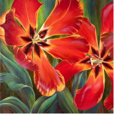 Pictura pe numere - Lalele  ZP 033