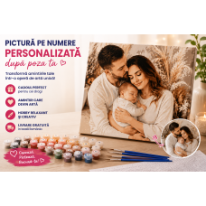 PICTURA PE NUMERE PERSONALIZATE PICTURA PE NUMERE PERSONALIZATE