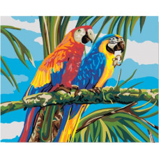 Pictura pe numere  - Cacatoul Art ZE 5670