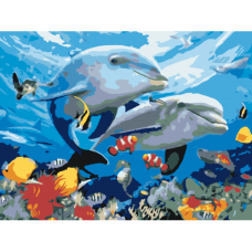 Pictura pe numere  - Delfinii ZE 4091