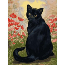 Pictura pe numere  - O pisica neagra ZE 3227