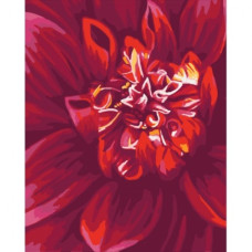 Dalie - Pictura pe numere ZG 0405