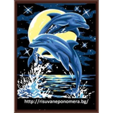 DELFINI DE NOAPTE - Pictura pe numere – CX 3151