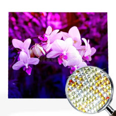 Goblen de diamante cu cristale strălucitoare - Neon orhidee EZ 333099