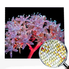 Goblen de diamante cu cristale strălucitoare - Fluorescență de culoare EZ 333101