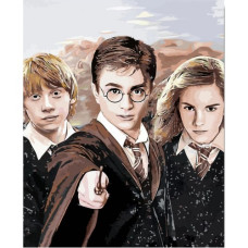 Harry Potter - Pictura pe numere ZG 08095 Harry Potter - Pictura pe numere ZG 08095