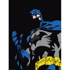 Batman - Pictura pe numere ZG 10230