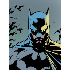 Batman - Pictura pe numere ZG 0385