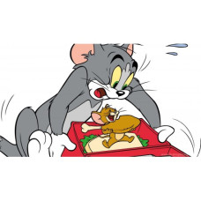  Pictura pe numere -  Tom si Jerry ZE 3414