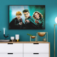 Harry Potter - Pictura pe numere ZG 0607