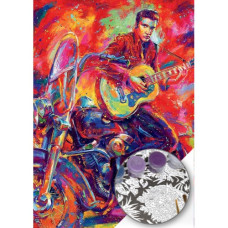  Pictura pe numere - Elvis ZE 3574