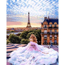  Pictura pe numere - Apus de soare la Paris ZG 10281