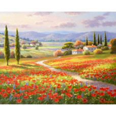  Pictura pe numere - Toscana ZE 6455