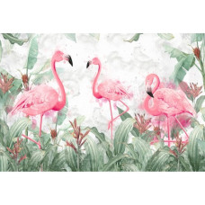 Flamingo - Pictura pe numere ZG 10701