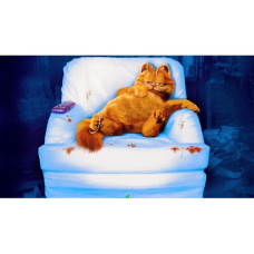 Garfield - Pictura pe numere ZG 10732