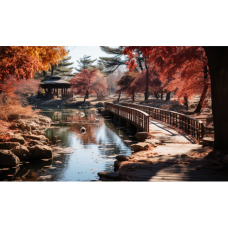 Toamna in parc - Pictura pe numere ZG 10763
