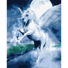  Pictura pe numere - Pegasus ZG 10845