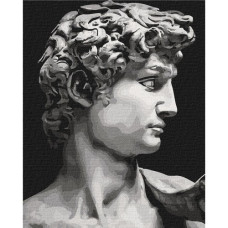  Pictura pe numere - Michelangelo ZG 10864