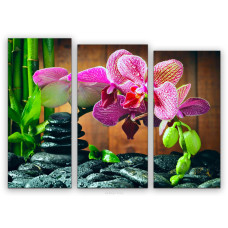 TRP 0008 Goblen de diamante - Triptic Orhidee